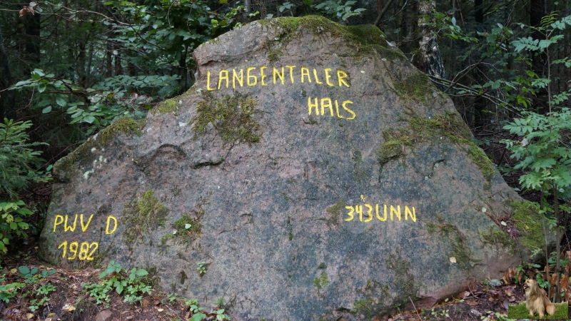 Ritterstein Nr. 207-2cc Langentaler Hals 343 ü NN.JPG - Ritterstein Nr.207 Langentaler Hals 343 ü NN